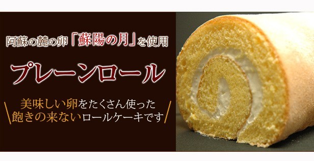 �ץ졼�������