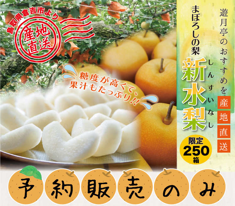 新水梨