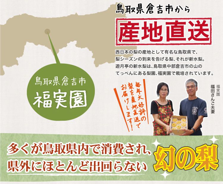 新水梨 産地直送 鳥取県
