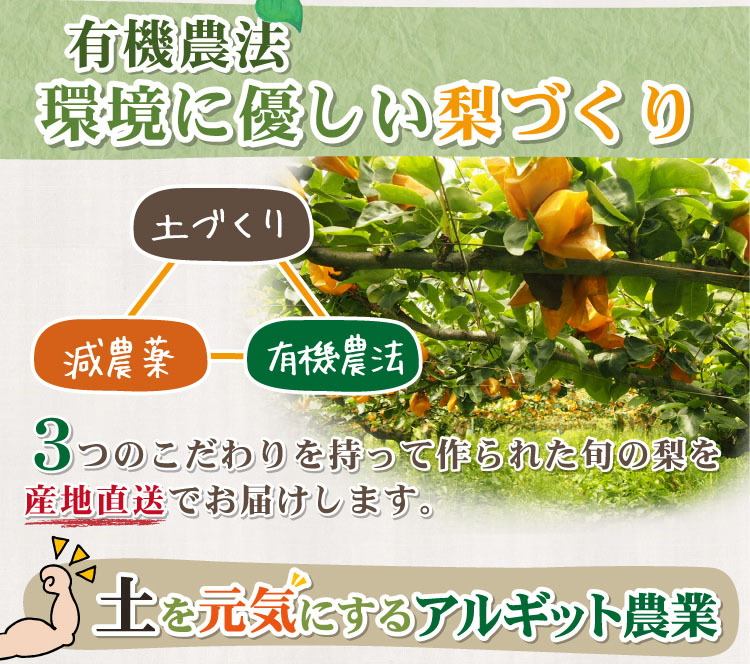 環境に優しい梨づくり