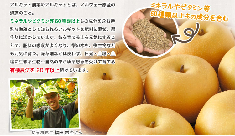 アルギット農業