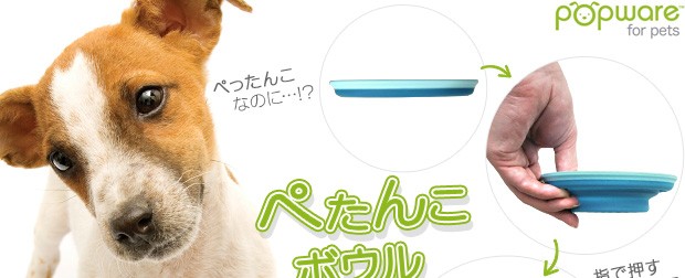 Popware ぺたんこボウル S ■ お出かけ お散歩 グッズ 携帯水筒 犬用品 猫用品
