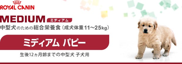 ロイヤルカナン ミディアムジュニア ドッグフード