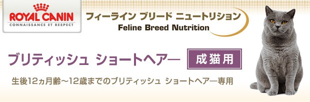 ロイヤルカナン FBN キャットフード ブリティッシュショートヘアー 成猫用