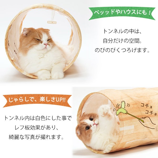 いーちゃん 猫壱　猫と葉っぱ2個　flower 2個セット　合計４セット 猫壱（necoichi） キャットトンネルスパイラル 木目柄 : ペッツ