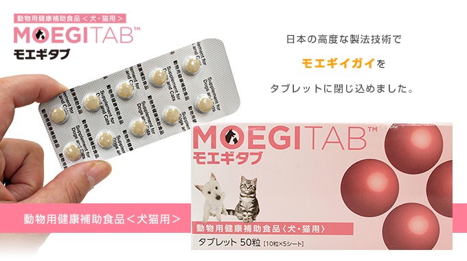 超特価SALE開催！ 共立製薬 犬猫用 モエギタブ 10粒×5シート 2個セット - 犬用品 - smssvg.org