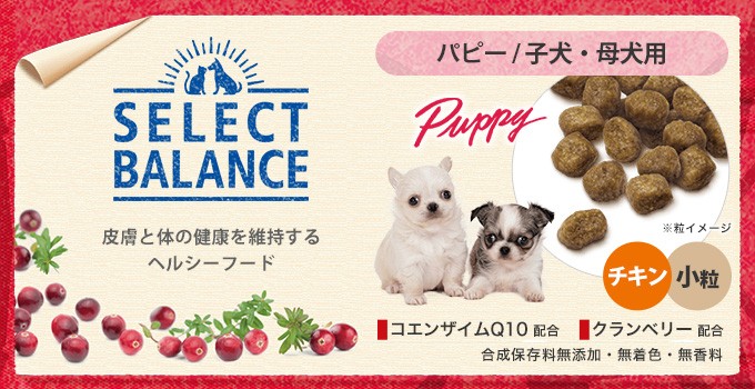 PointUP）セレクトバランス パピー（子犬用） チキン 小粒 7kg