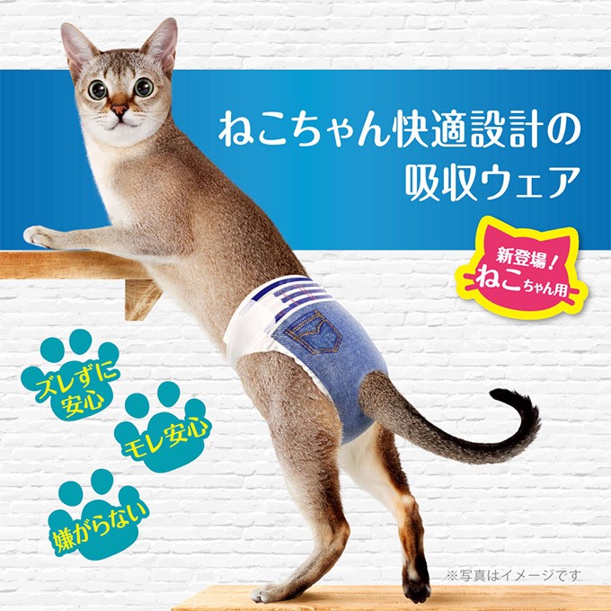 猫用 おむつ マナーウェア SSサイズ 40枚  オムツ そそう マーキング 介護 ナプキン 生理 マナー 失敗 散歩 外出 旅行 キャット ねこ  :33120543ku:ペッツビレッジクロスヤフー店 - 通販 - Yahoo!ショッピング