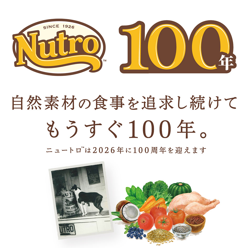 まとめ買い 公認店 ニュートロ フローズン 日本の恵み 成犬用 80g×3個セット お好み合わせて選べる 大地 はかた地どり 海 真鯛 山 鹿肉 冷凍フード 送料無料 | ニュートロ | 10