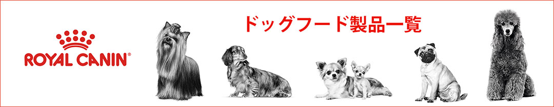 ロイヤルカナン ドッグフード一覧