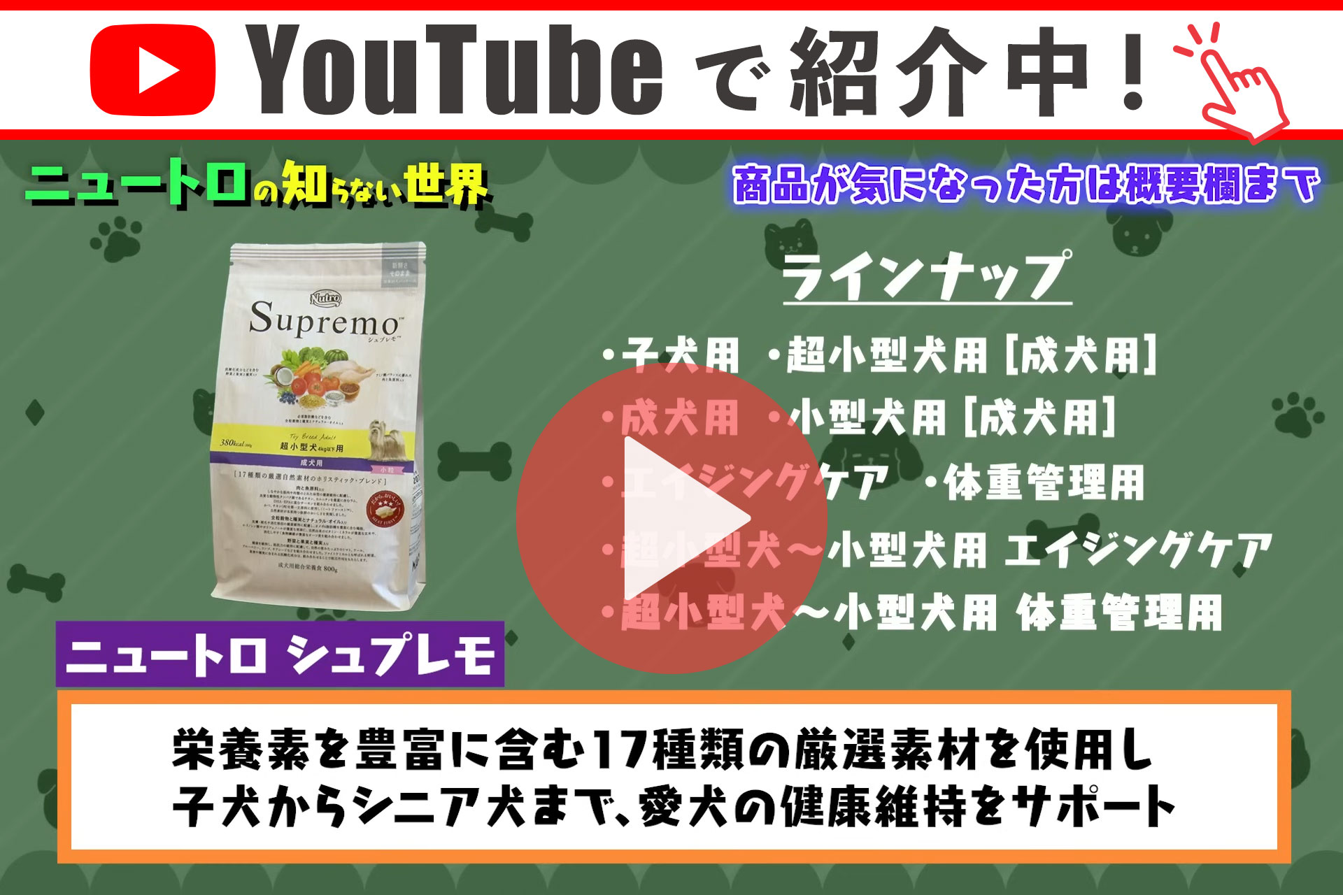 シュプレモ 公認店 ニュートロ 小型犬用 成犬用 6kg ごはん ご飯