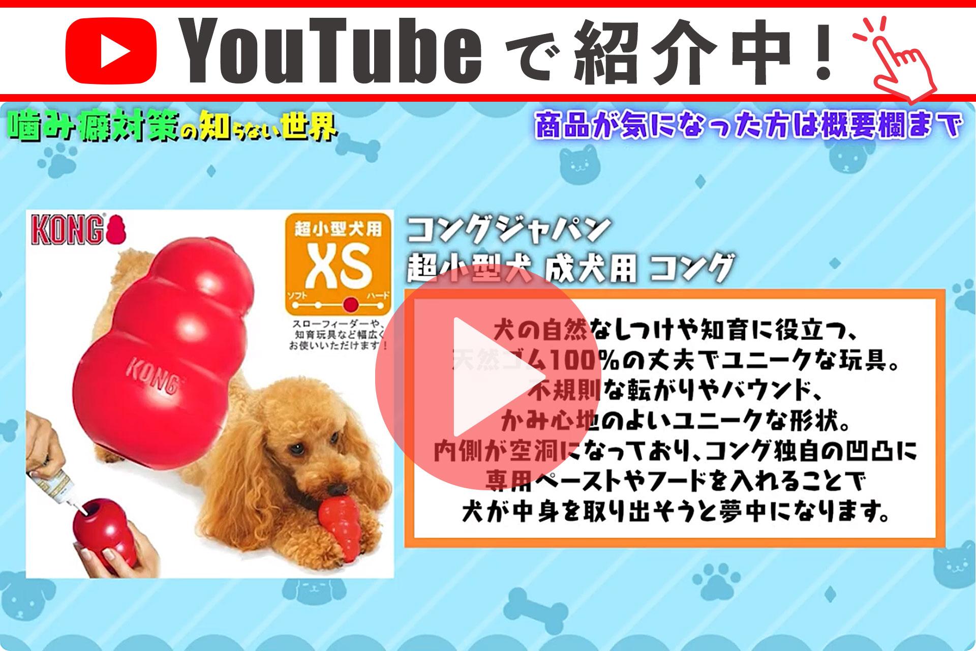 KONG（コング） コングジャパン 大型犬 成犬用 L : ペッツビレッジ