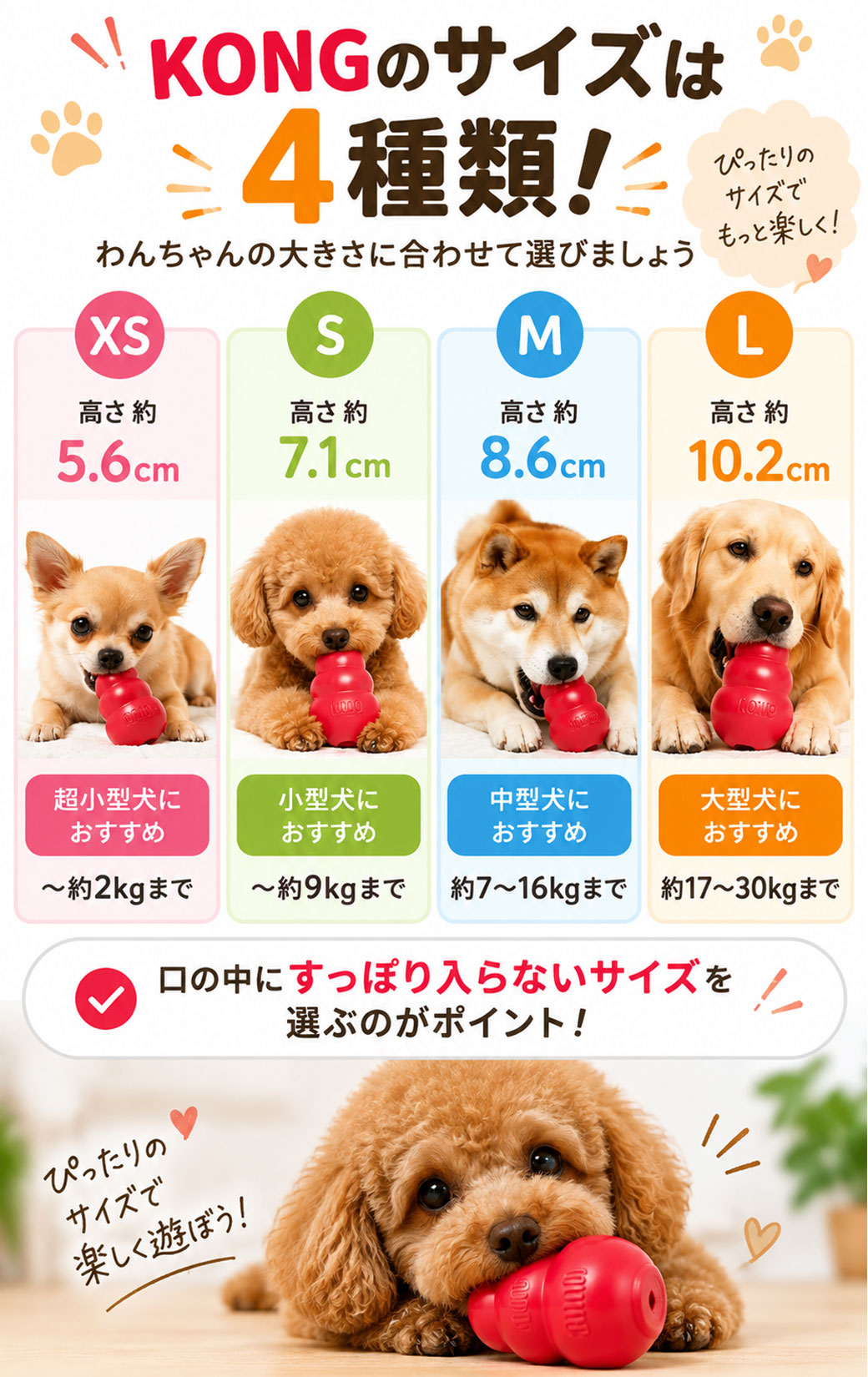 KONG（コング） コングジャパン 小型犬 成犬用 S : ペッツビレッジ