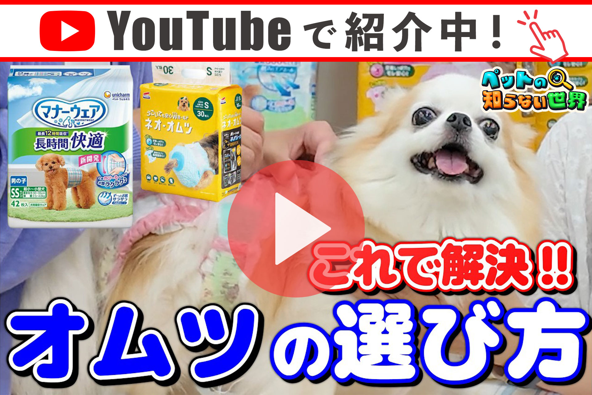 マナーウェア ユニチャーム 女の子用 SSS 42枚 : ペッツビレッジクロス