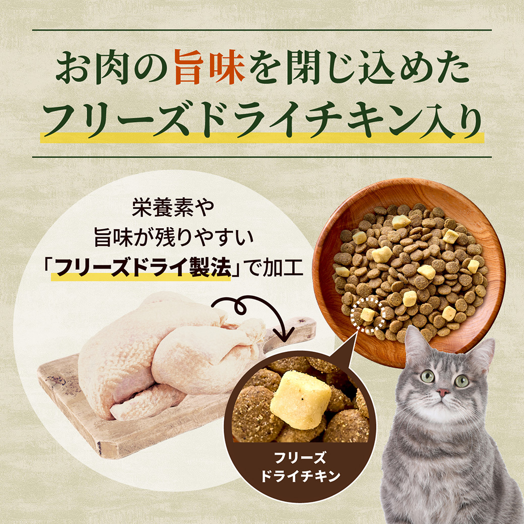 ニュートロ 公認店 キャット ワイルドレシピ フリーズドライプラス 