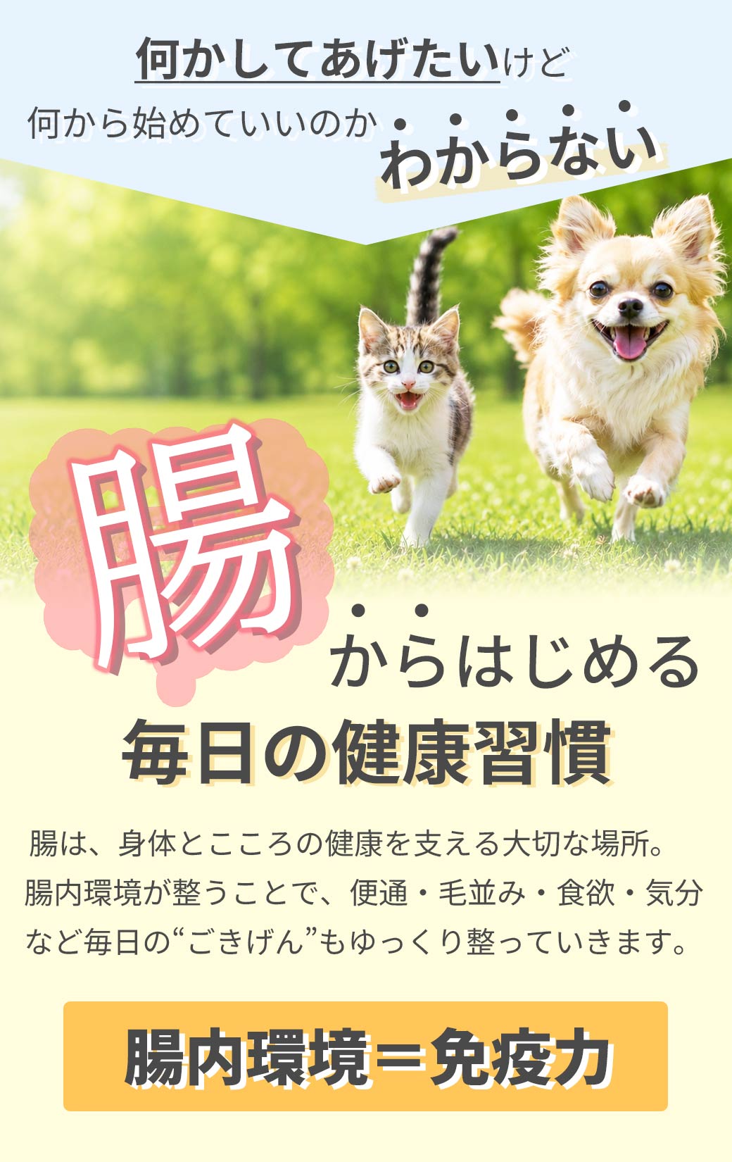 獣医師監修 BioSmile ビオスマイル 腸内フローラからはじめる腸活