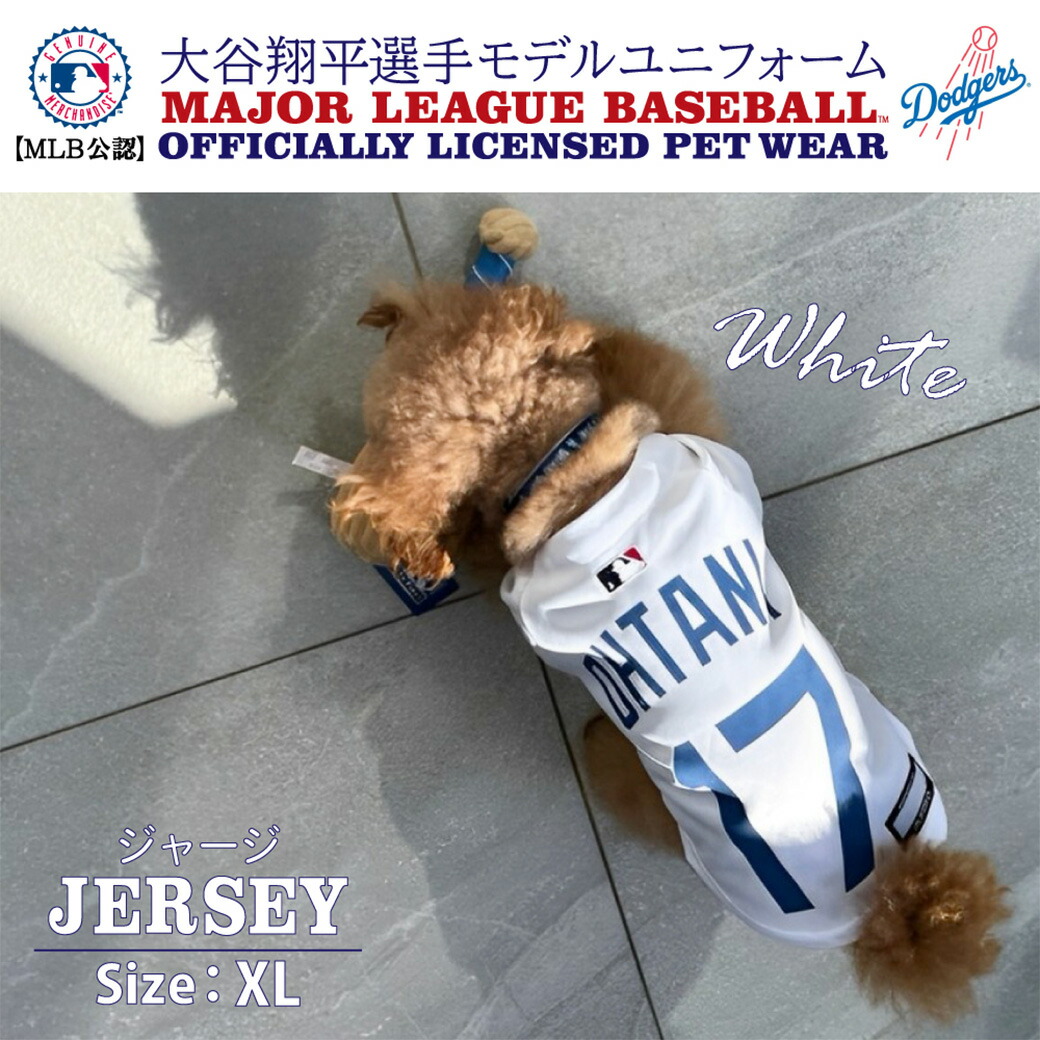 FANTASY WORLD MLB公式 ロサンゼルス ドジャース 大谷翔平選手