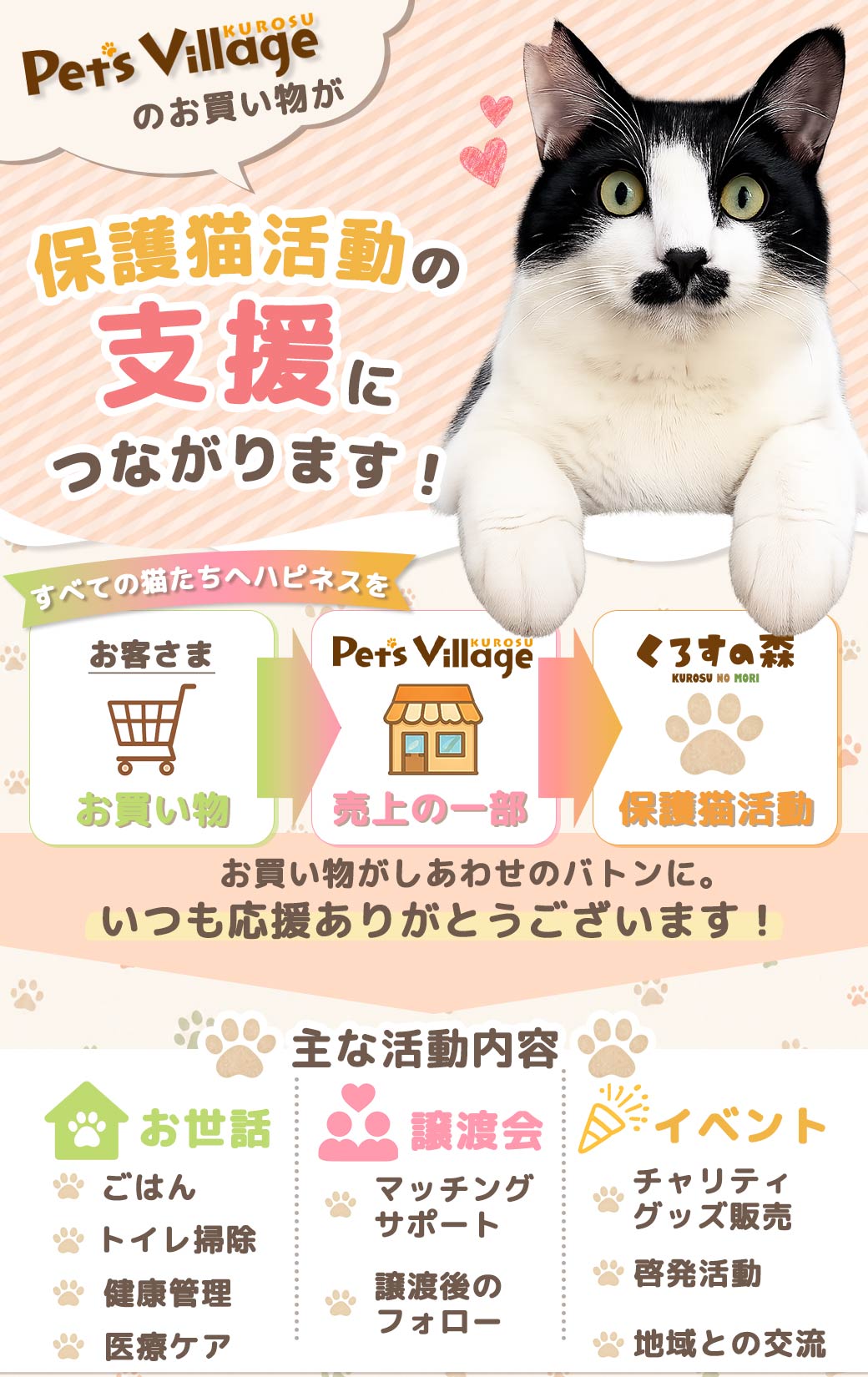 【公認店】ニュートロ シュプレモ 小型犬 成犬用 3kg 小型犬 成犬 ドッグフード ニュートロドッグフード ニュートロシュプレモ 犬 ごはん ご飯 Nutro Supremo 関連画像1