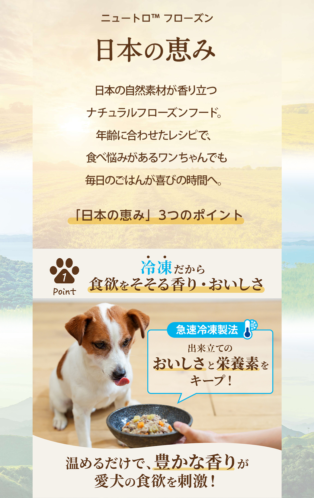 まとめ買い 公認店 ニュートロ フローズン 日本の恵み 成犬用 80g×3個セット お好み合わせて選べる 大地 はかた地どり 海 真鯛 山 鹿肉 冷凍フード 送料無料 | ニュートロ | 06