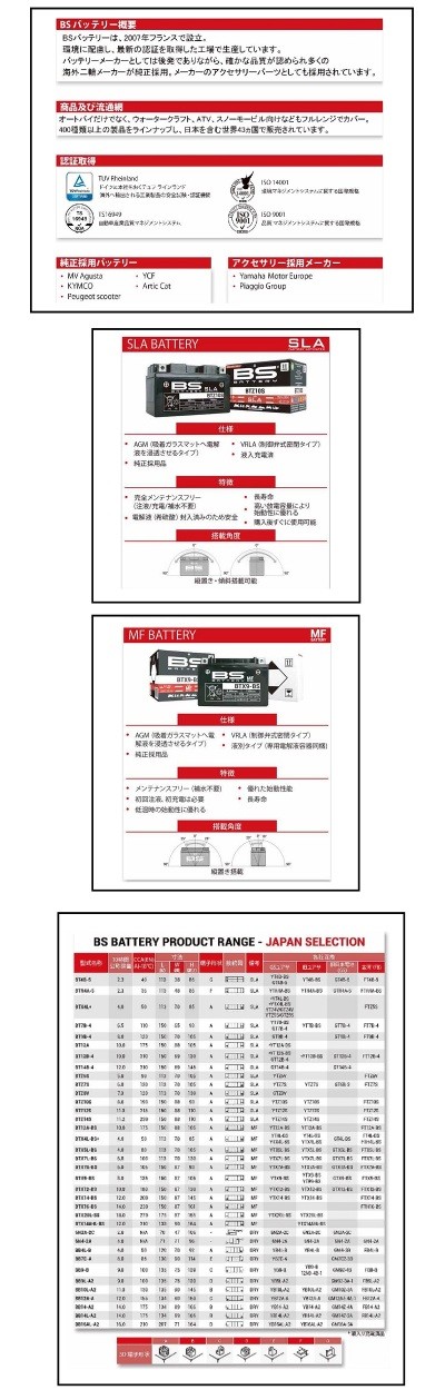 bs battery all guide