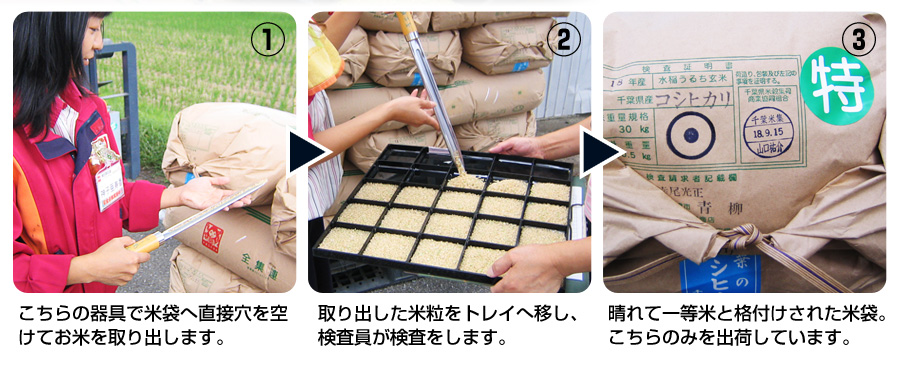 新米 令和5年産 米 30kg お米 コシヒカリ 玄米食でも安心の選別済 玄米