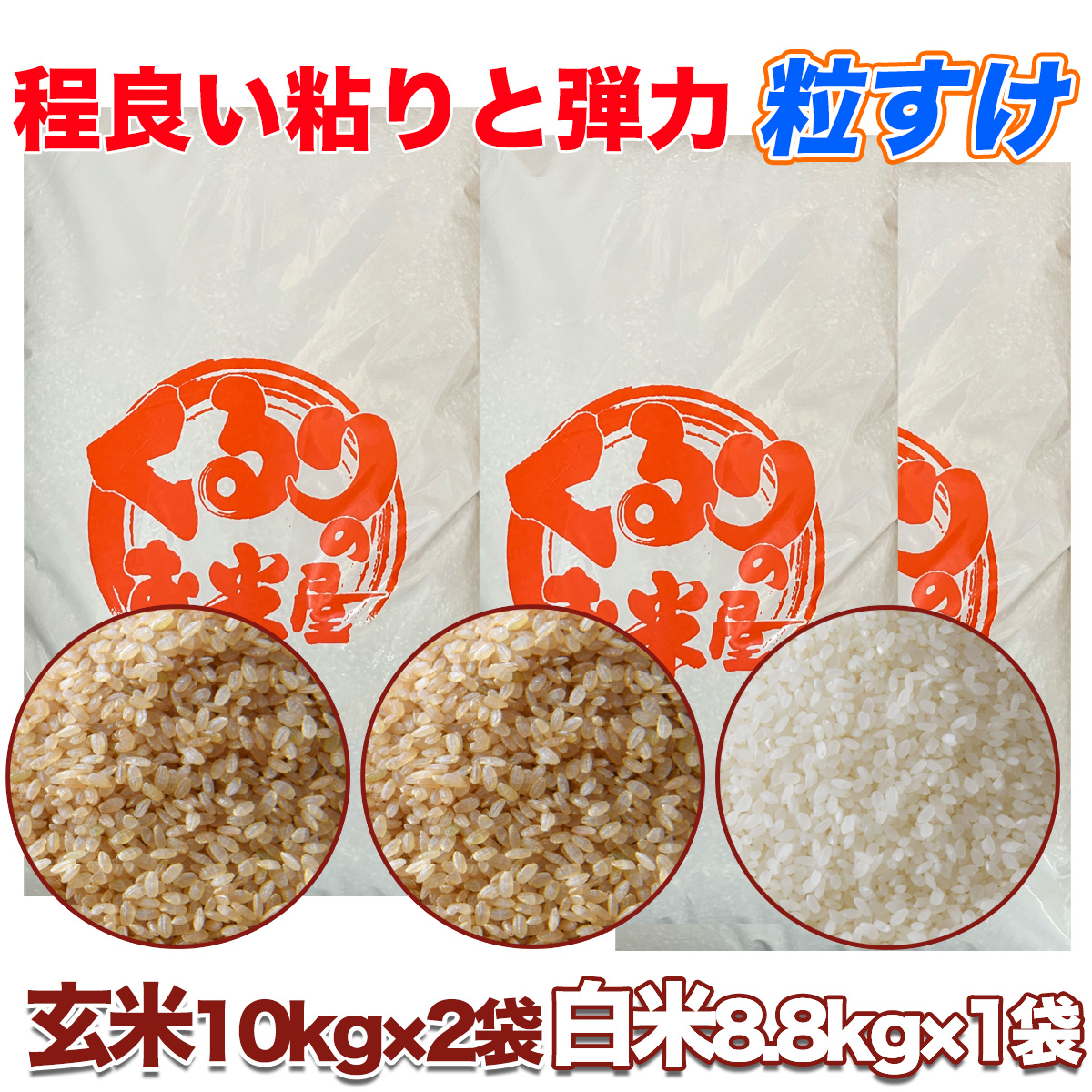 玄米 １袋30kg 「最終値下げ」「残り3袋」 コシヒカリ 令和7年産新米 三間米 こしひかり一等米 玄米30kg または