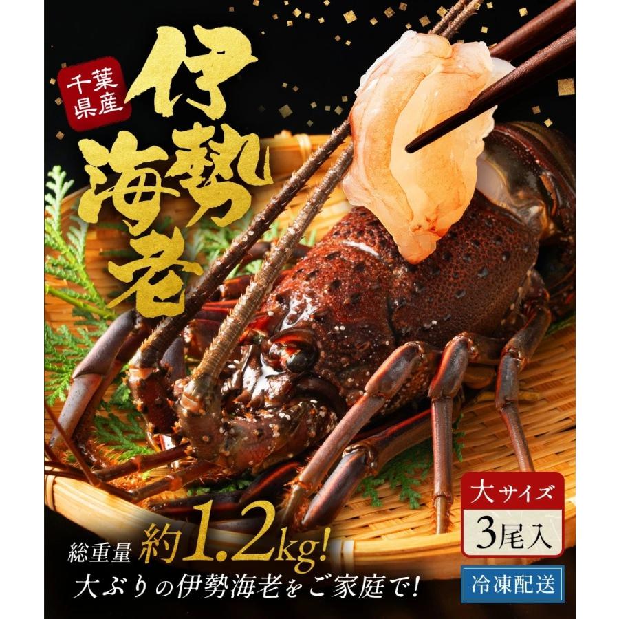 いせえび問屋 - Yahoo!ショッピング