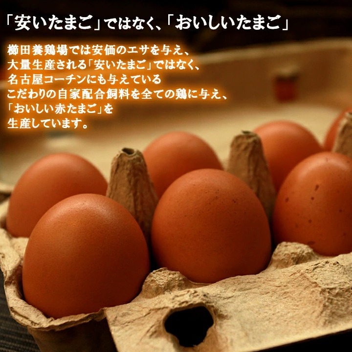 卵 30個 タマゴ たまご 名古屋コーチンの卵 30個入り(27個 破卵保障3個) 櫛田養鶏場 養鶏場直送 超新鮮 愛知県産 ブランド