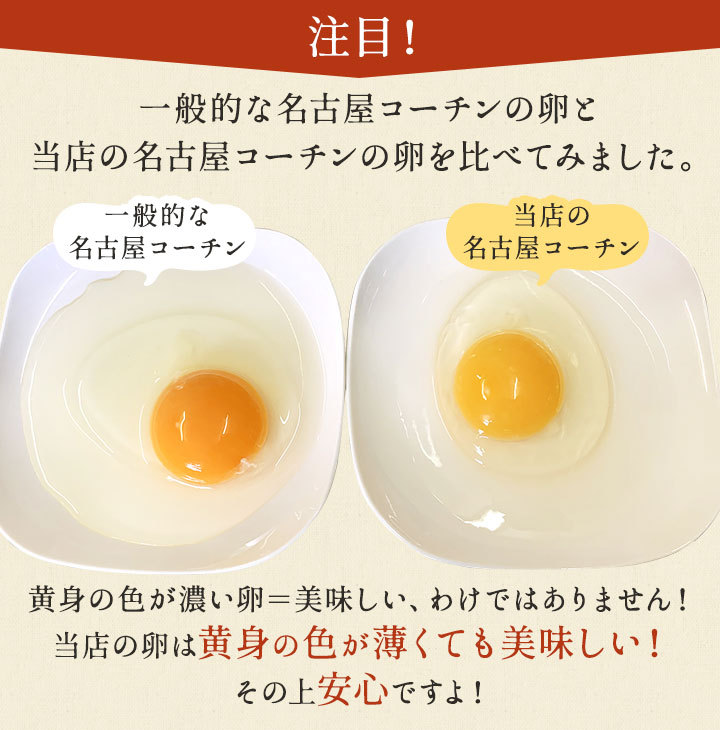 櫛田養鶏場のおいしい白卵 30個入り(27個＋破卵保障3個) 白卵でも餌にこだわるとこんなに美味しい！