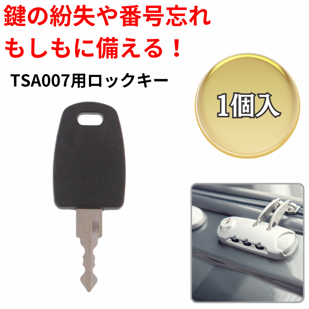 販売 tsaロック スーツケース 鍵 紛失