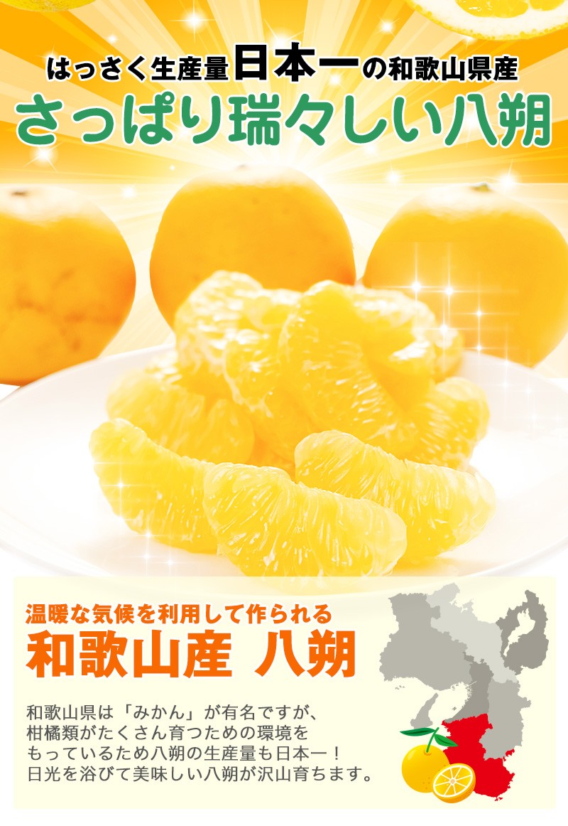 はっさく 8kg（箱込約8kg）和歌山県産 訳あり・ご家庭用 / 八朔 送料