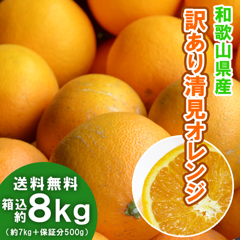 清見オレンジ 8kg（箱込約8kg）和歌山県産 訳あり・ご家庭用 / きよみ