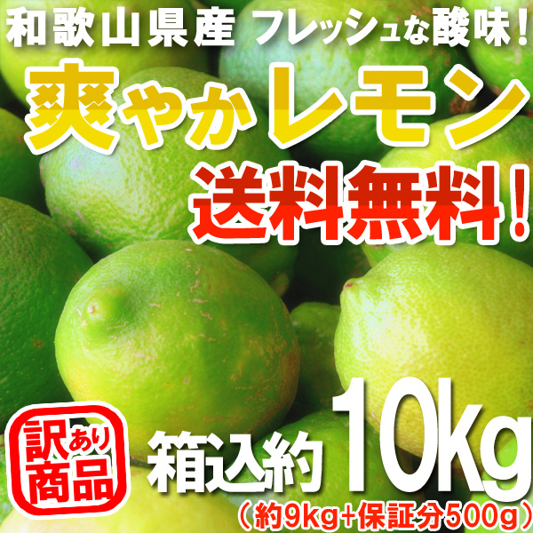 じじさん専用、箱込み10キロ、訳あり レモン 10kg（箱込約10kg）国産 訳あり・ご家庭用 送料無料（東北