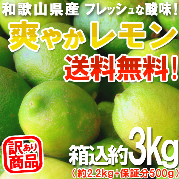 レモン 3kg（箱込約3kg）国産 訳あり・ご家庭用 送料無料（東北