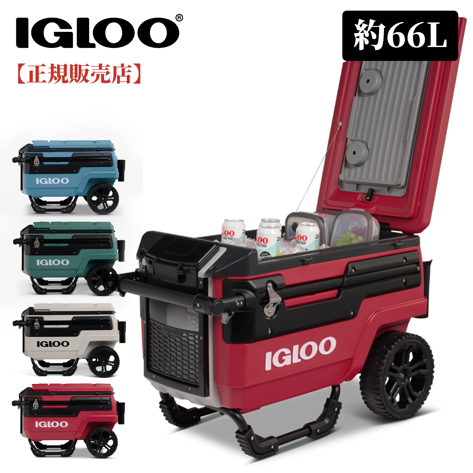 ゲン　IGLOO  66L クーラーボックス igloo [イグルー] 大型 クーラーボックス 66L MAXCOLD LATITUDE