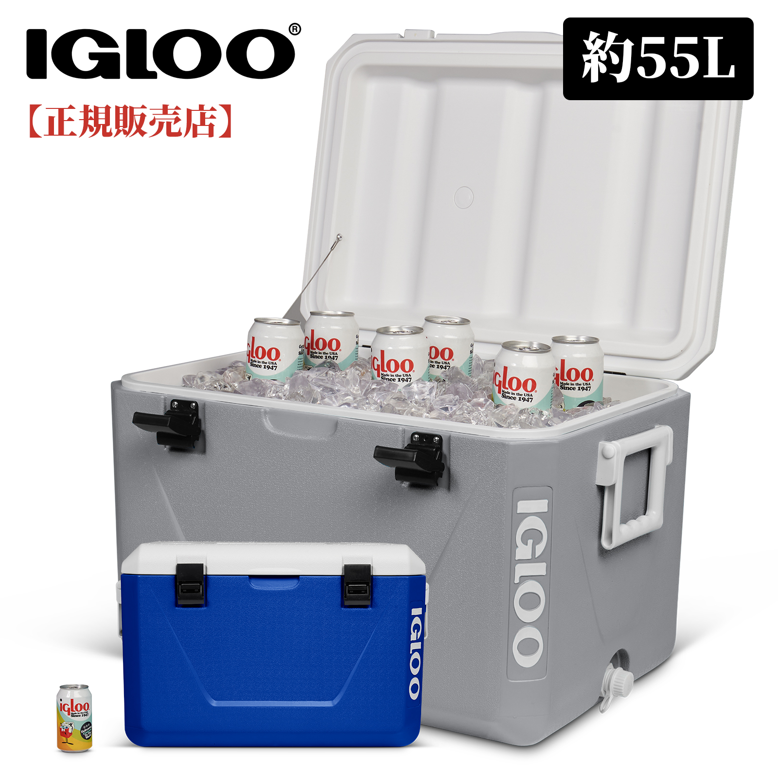 クーラーボックス　igloo イグルー　２個セット 楽天市場】【igloo正規販売店】【即日発送】igloo イグルー サン