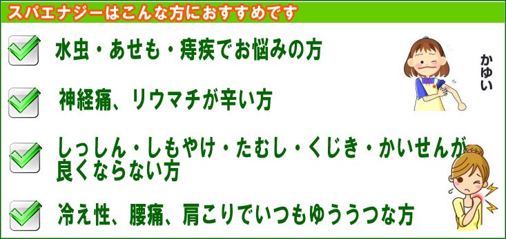 スパエナジー【別府明礬温泉の入浴剤】（500CC×3本） : アトピー