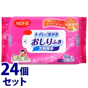 《セット販売》 ピジョン ハビナース トイレに流せるおしりふき 大判厚手 (40枚)×24個セット 介護 清拭 スキンケア用品 大人用 :10158848:くすりの福太郎