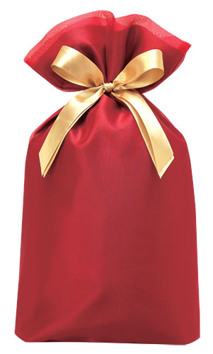 包む 巾着バッグ レッド オーガンジー Lサイズ WR L T2804L (1枚) ラッピング 誕生日 クリスマス 贈り物
