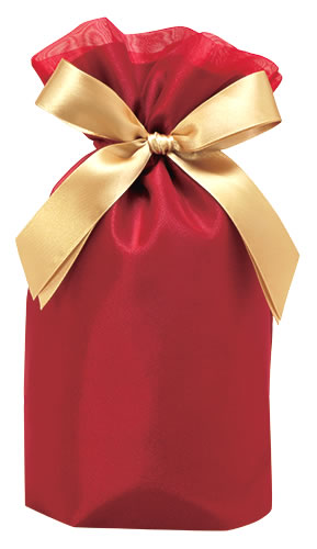 包む 巾着バッグ レッド オーガンジー Mサイズ WR M T2804M (1枚) ラッピング 誕生日 クリスマス 贈り物｜kusurinofukutaro