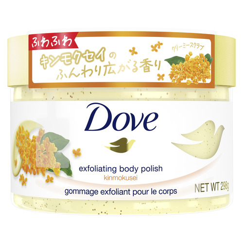 ˥꡼  ꡼ߡ ⥯ (298g) ܥǥ ں Dove