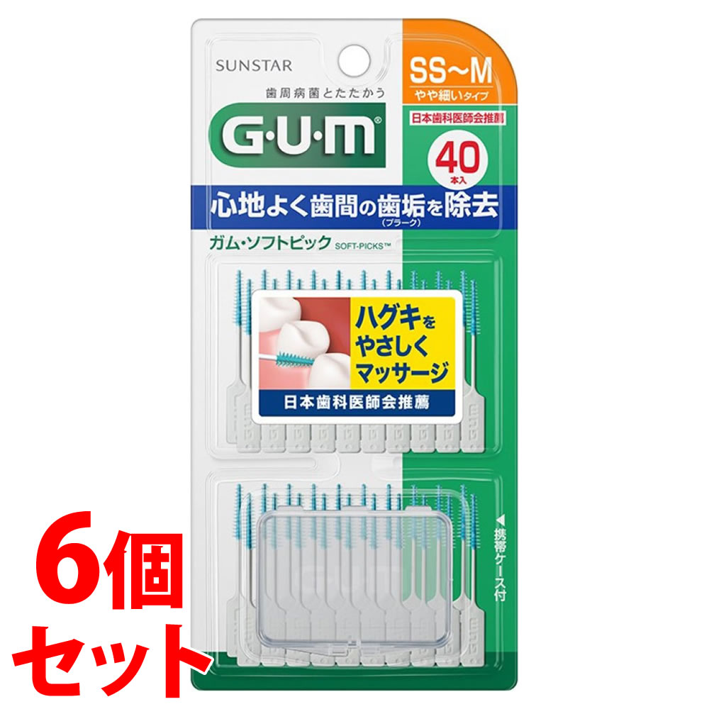sZbg̔t@TX^[ K \tgsbN  SS`M (40{)×6Zbg GUM Ԑ|pi