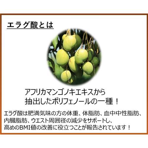 メロディアン スリーダウンコーヒー (18個入り) コーヒー飲料 濃縮