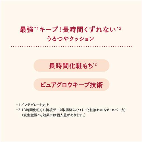 資生堂 インテグレート プロフィニッシュクッション(レフィル) 0.5
