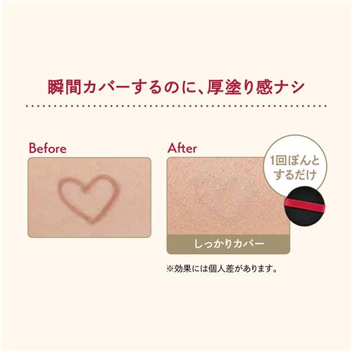資生堂 インテグレート プロフィニッシュクッション(レフィル) 0.5