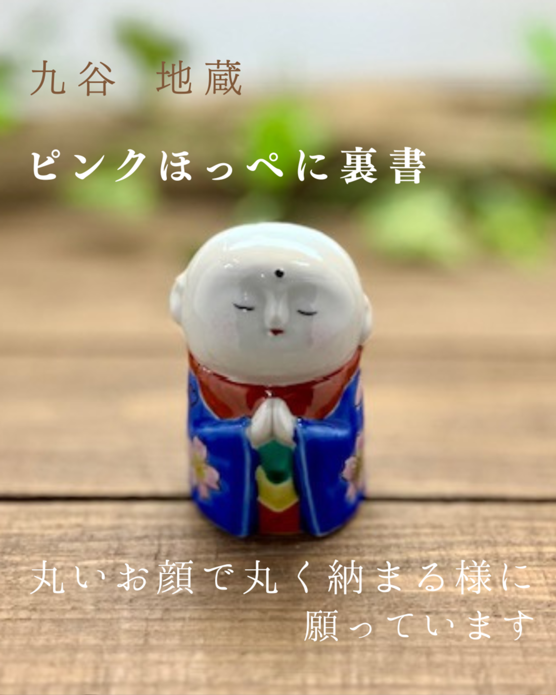 ��ë�� ����¢����