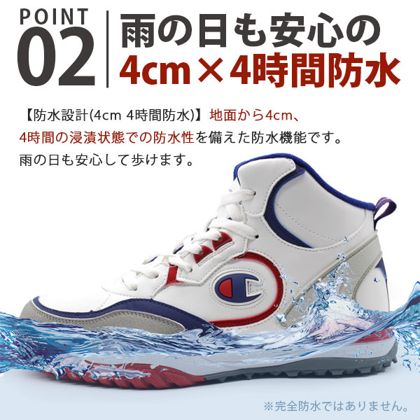 cp20dla044w_2.jpg