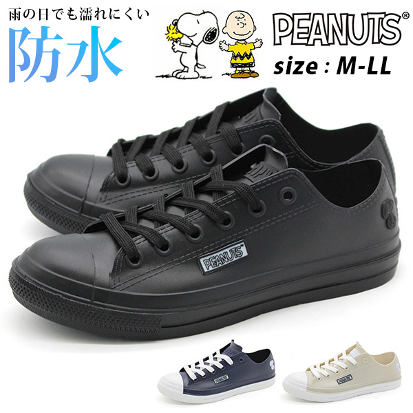 pn8134.jpg