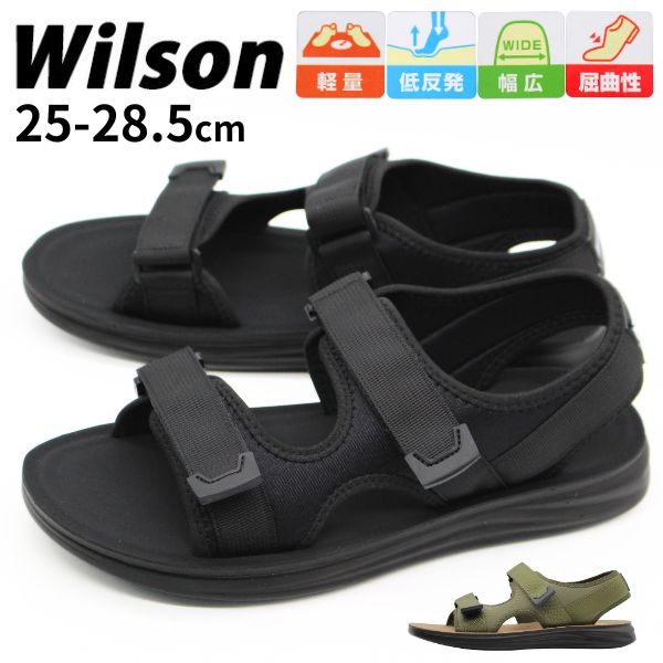 wilson3650.jpg