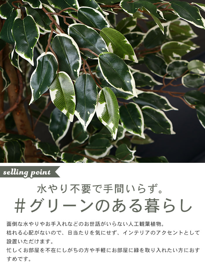 値下げ】 【在庫処分】 観葉植物 人工 フェイクグリーン フィカス 高さ 170cm 7号鉢対応 造花 オフィス 観葉 植物 鉢植え インテリア 室内  鉢 目隠し リビング : m5-mgkfgb90084 : クツログ - 通販 - Yahoo!ショッピング